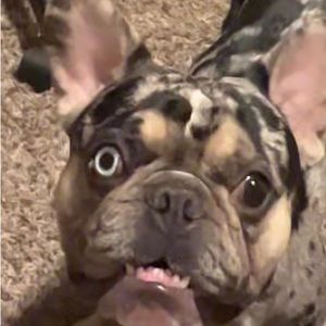 Meet your Posher, Alberto